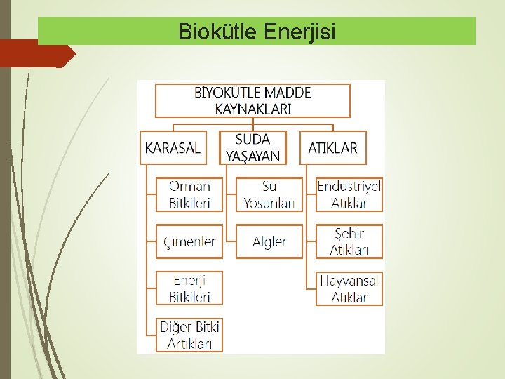 Biokütle Enerjisi 