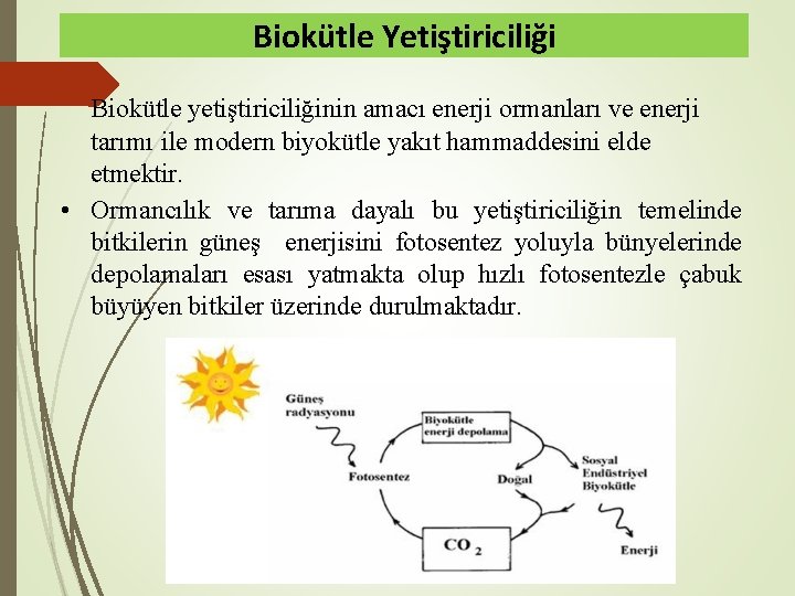 Biokütle Yetiştiriciliği Biokütle yetiştiriciliğinin amacı enerji ormanları ve enerji tarımı ile modern biyokütle yakıt