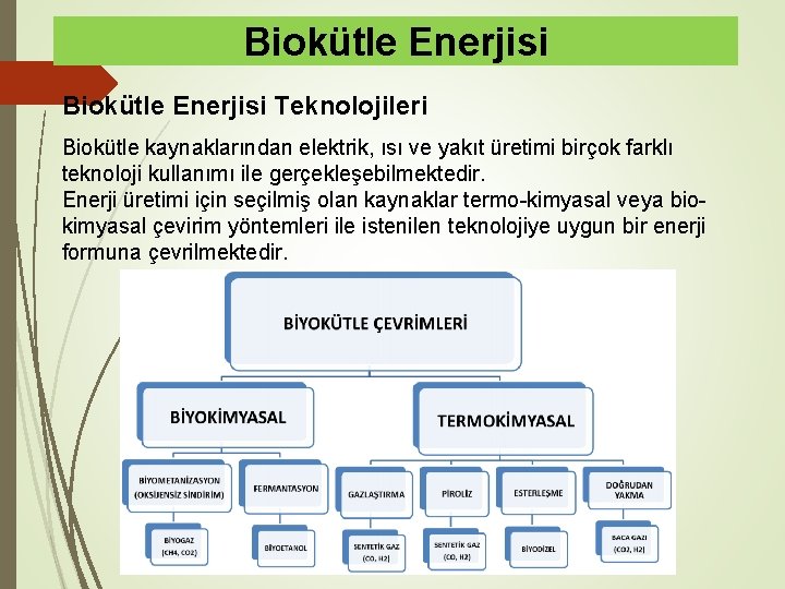 Biokütle Enerjisi Teknolojileri Biokütle kaynaklarından elektrik, ısı ve yakıt üretimi birçok farklı teknoloji kullanımı