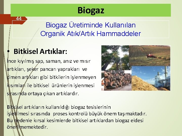 44 Biogaz Üretiminde Kullanılan Organik Atık/Artık Hammaddeler • Bitkisel Artıklar: İnce kıyılmış sap, saman,