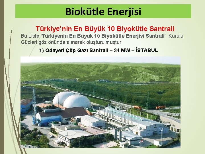 Biokütle Enerjisi Türkiye’nin En Büyük 10 Biyokütle Santrali Bu Liste ‘Türkiyenin En Büyük 10