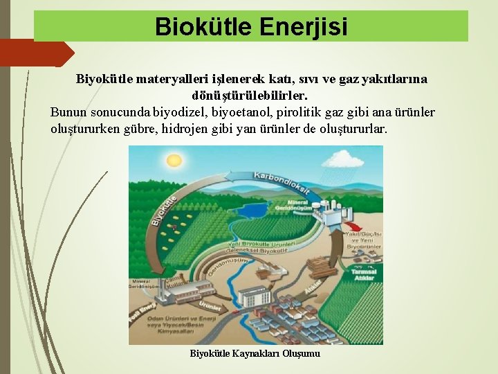 Biokütle Enerjisi Biyokütle materyalleri işlenerek katı, sıvı ve gaz yakıtlarına dönüştürülebilirler. Bunun sonucunda biyodizel,