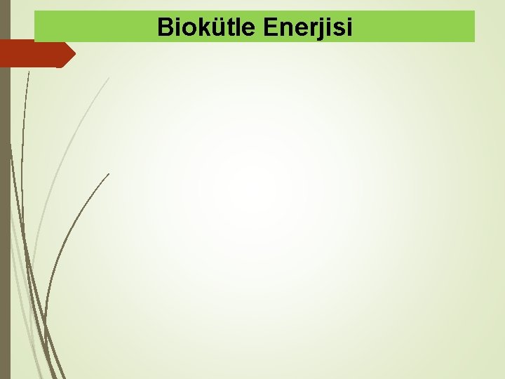 Biokütle Enerjisi 