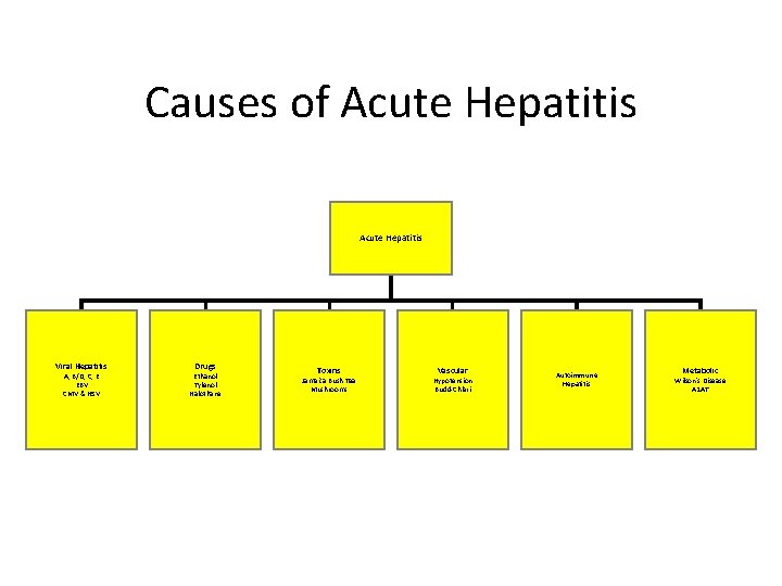 Causes of Acute Hepatitis Viral Hepatitis A, B/D, C, E EBV CMV & HSV
