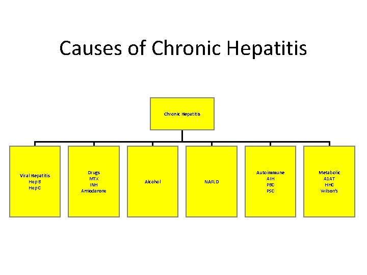 Causes of Chronic Hepatitis Viral Hepatitis Hep B Hep C Drugs MTX INH Amiodarone