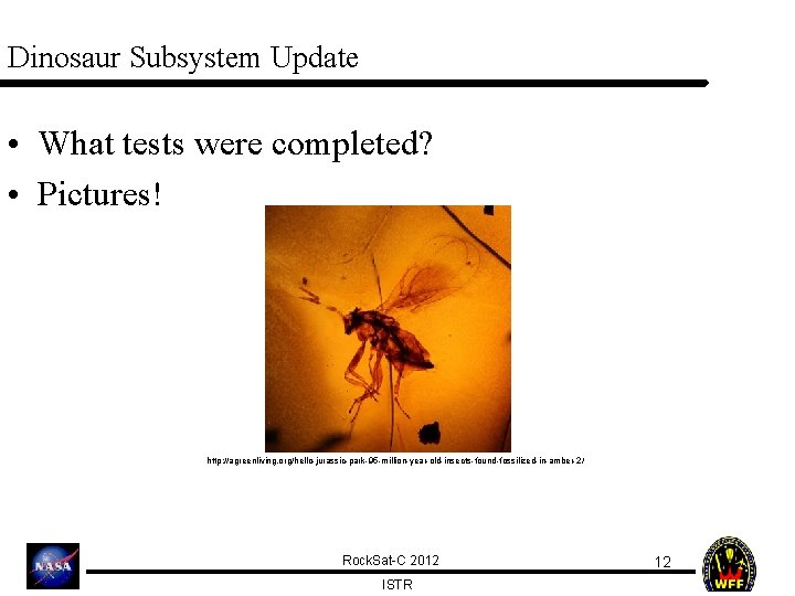 Dinosaur Subsystem Update • What tests were completed? • Pictures! http: //agreenliving. org/hello-jurassic-park-95 -million-year-old-insects-found-fossilized-in-amber-2/