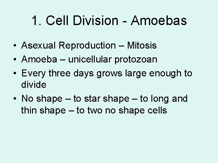 1. Cell Division - Amoebas • Asexual Reproduction – Mitosis • Amoeba – unicellular