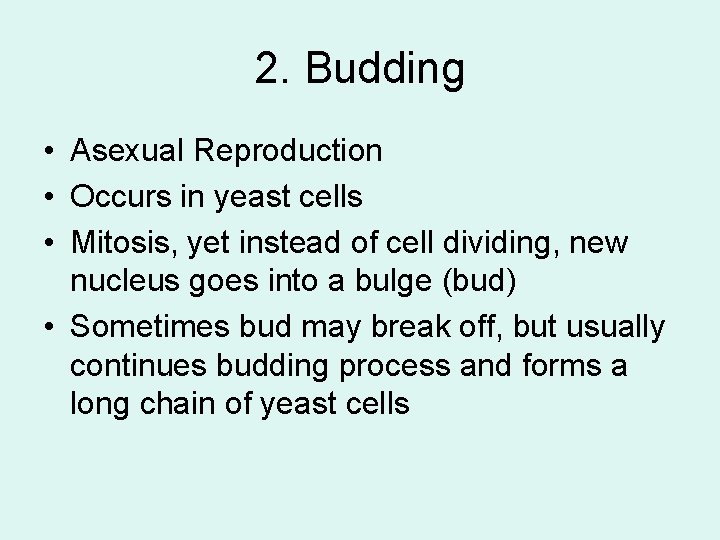 2. Budding • Asexual Reproduction • Occurs in yeast cells • Mitosis, yet instead