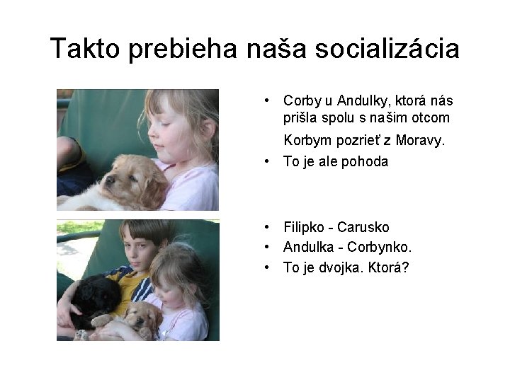 Takto prebieha naša socializácia • Corby u Andulky, ktorá nás prišla spolu s našim