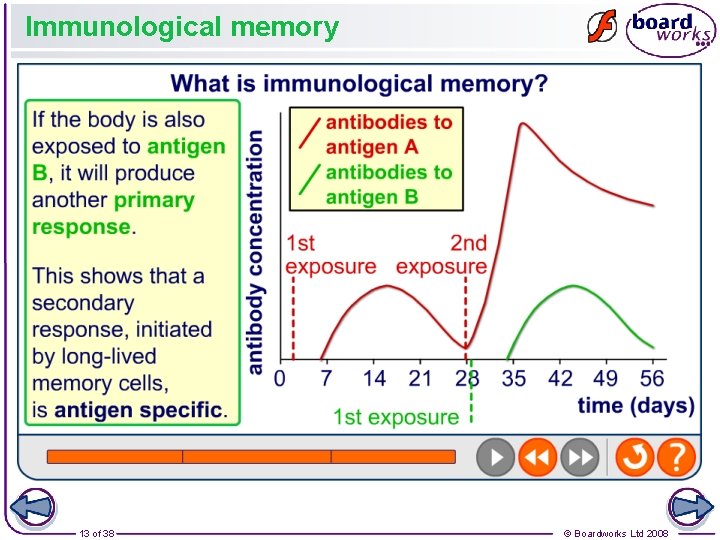 Immunological memory 13 of 38 © Boardworks Ltd 2008 