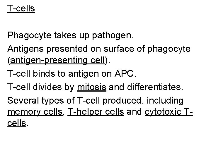 T-cells Phagocyte takes up pathogen. Antigens presented on surface of phagocyte (antigen-presenting cell). T-cell