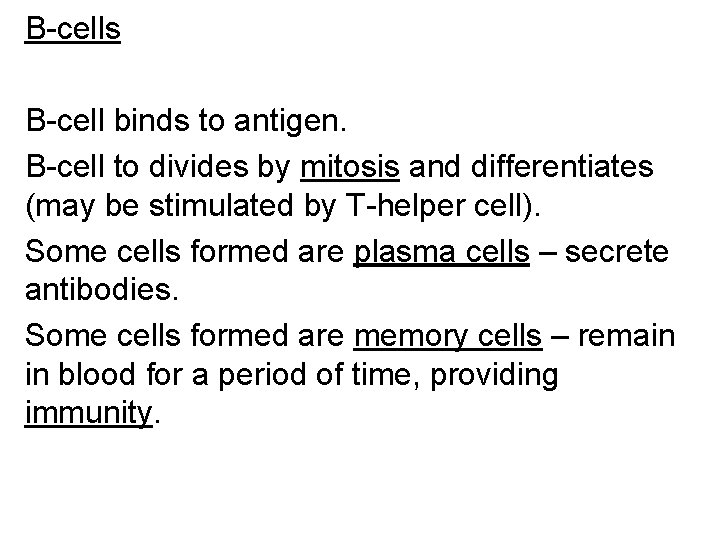 B-cells B-cell binds to antigen. B-cell to divides by mitosis and differentiates (may be