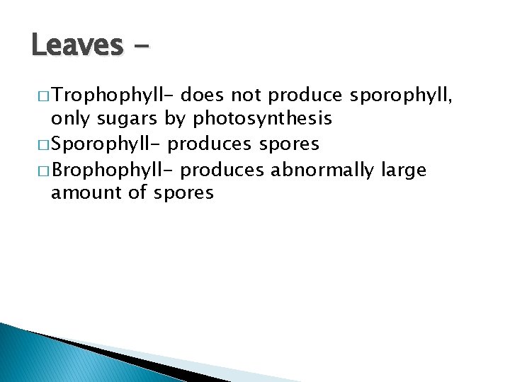 Leaves � Trophophyll- does not produce sporophyll, only sugars by photosynthesis � Sporophyll- produces