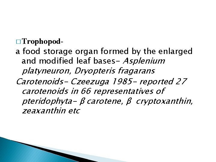 � Trophopod- a food storage organ formed by the enlarged and modified leaf bases-