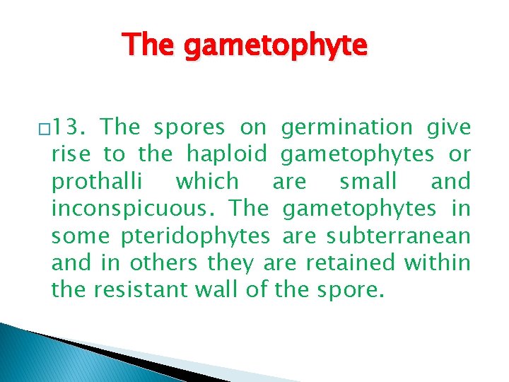 The gametophyte � 13. The spores on germination give rise to the haploid gametophytes