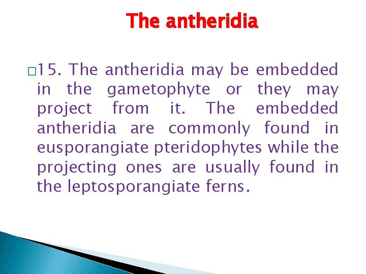The antheridia � 15. The antheridia may be embedded in the gametophyte or they