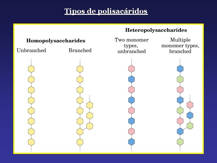 Tipos de polisacáridos 