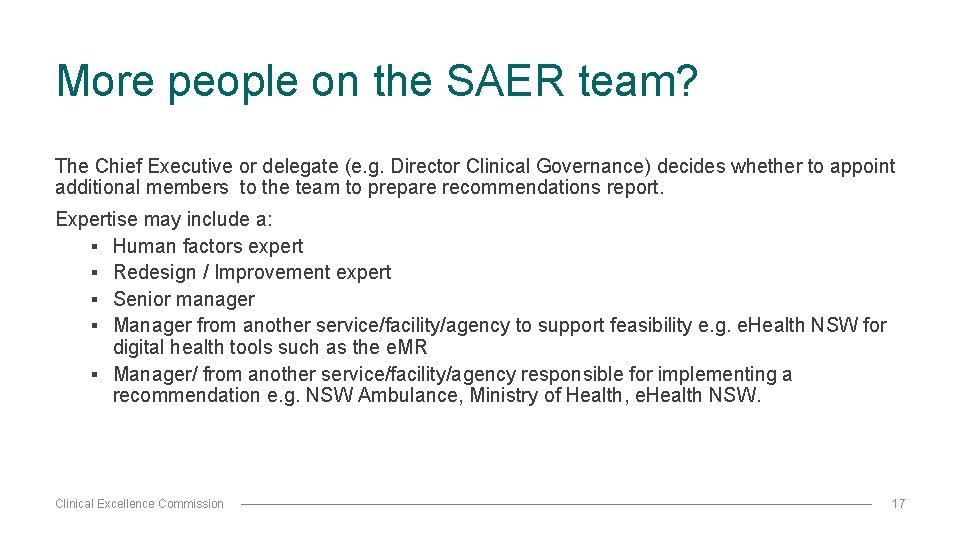 More people on the SAER team? The Chief Executive or delegate (e. g. Director