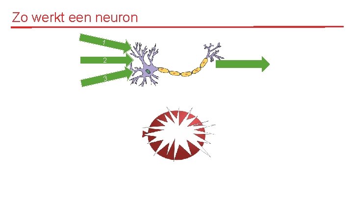 Zo werkt een neuron 1 2 3 