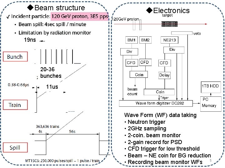 u. Beam structure u. Electronics 19 ns 20 -36 bunches 11 us Wave Form