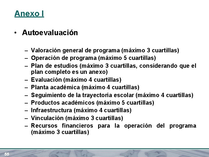 Anexo I • Autoevaluación – Valoración general de programa (máximo 3 cuartillas) – Operación