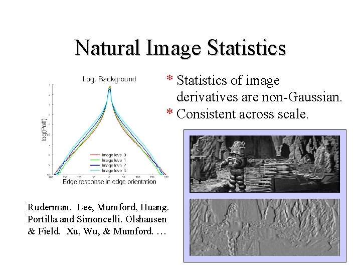 Natural Image Statistics * Statistics of image derivatives are non-Gaussian. * Consistent across scale.