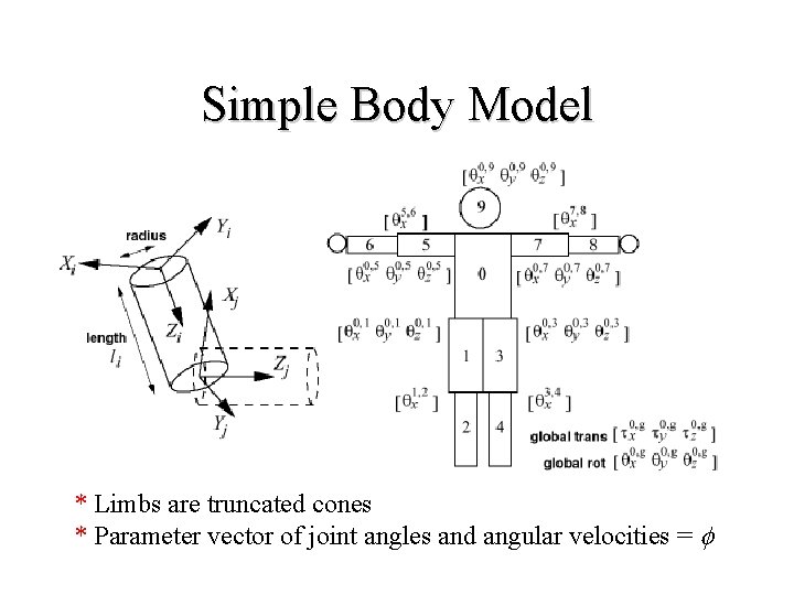 Simple Body Model * Limbs are truncated cones * Parameter vector of joint angles