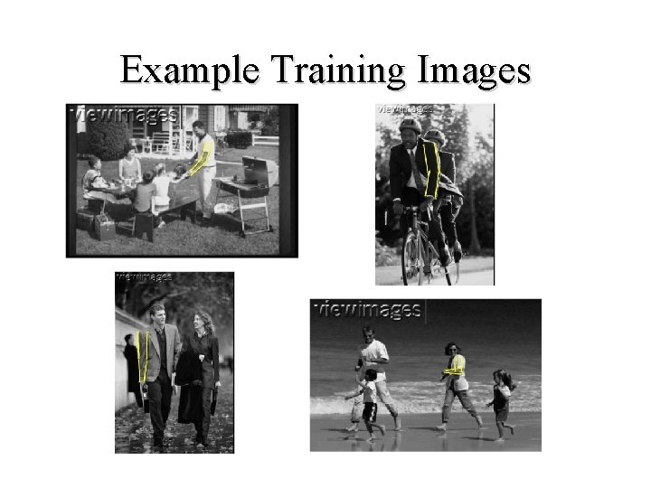 Example Training Images 