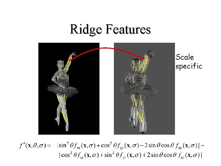 Ridge Features Scale specific 