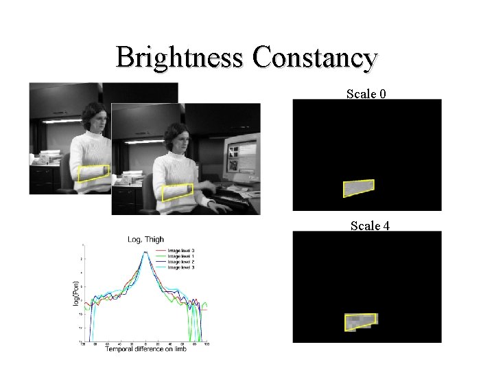 Brightness Constancy Scale 0 Scale 4 