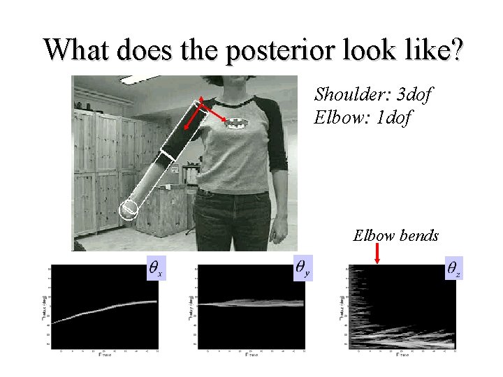 What does the posterior look like? Shoulder: 3 dof Elbow: 1 dof Elbow bends