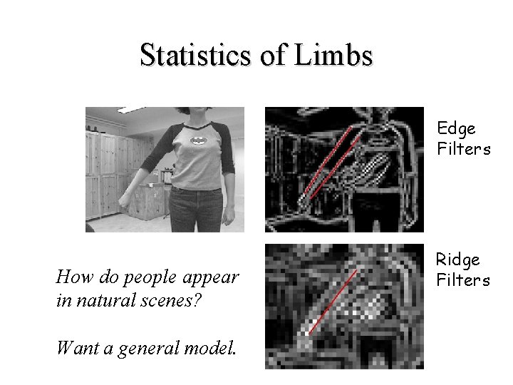 Statistics of Limbs Edge Filters How do people appear in natural scenes? Want a