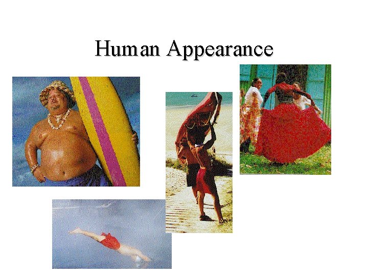 Human Appearance 