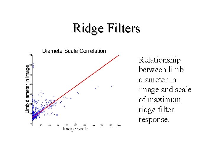 Ridge Filters Relationship between limb diameter in image and scale of maximum ridge filter