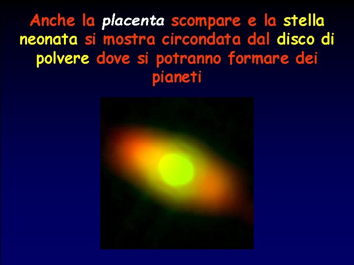 Anche la placenta scompare e la stella neonata si mostra circondata dal disco di