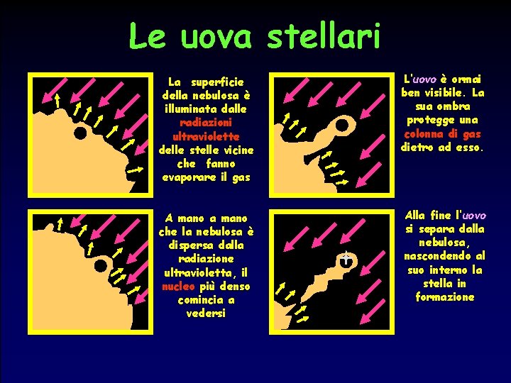 Le uova stellari La superficie della nebulosa è illuminata dalle radiazioni ultraviolette delle stelle