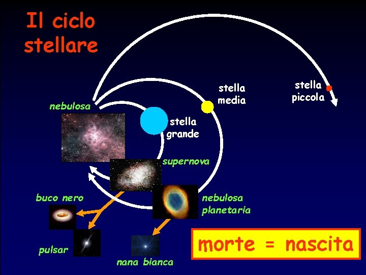 Il ciclo stellare stella media nebulosa stella piccola stella grande supernova buco nero pulsar