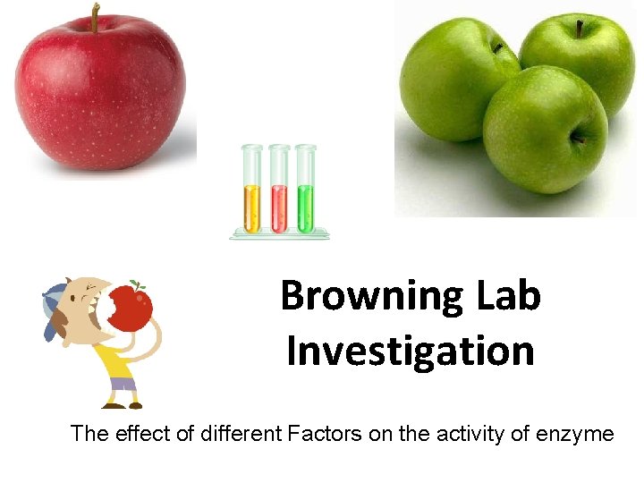 Browning Lab Investigation The effect of different Factors on the activity of enzyme 