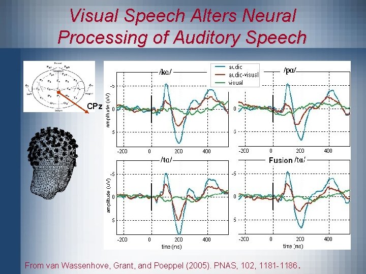 Visual Speech Alters Neural Processing of Auditory Speech CPz From van Wassenhove, Grant, and