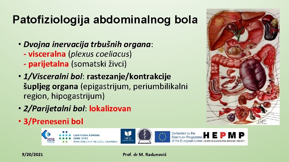 Patofiziologija abdominalnog bola • Dvojna inervacija trbušnih organa: - visceralna (plexus coeliacus) - parijetalna