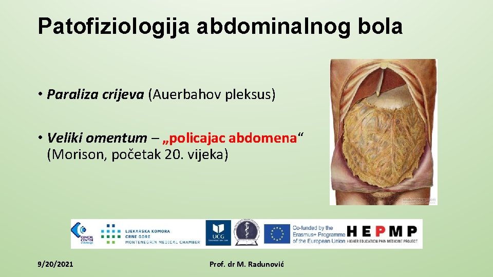 Patofiziologija abdominalnog bola • Paraliza crijeva (Auerbahov pleksus) • Veliki omentum – „policajac abdomena“