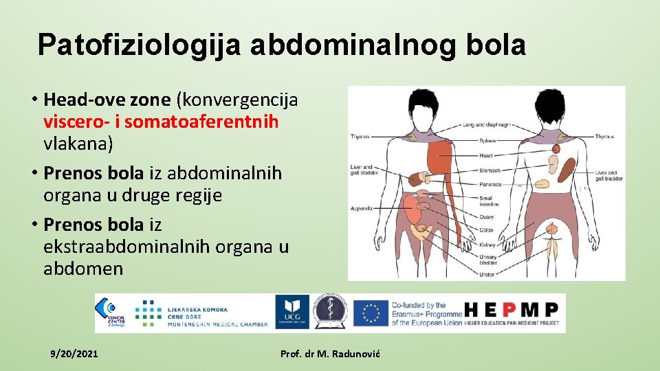 Patofiziologija abdominalnog bola • Head-ove zone (konvergencija viscero- i somatoaferentnih vlakana) • Prenos bola