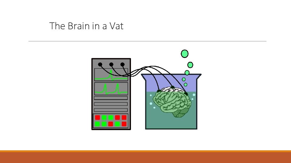 The Brain in a Vat 