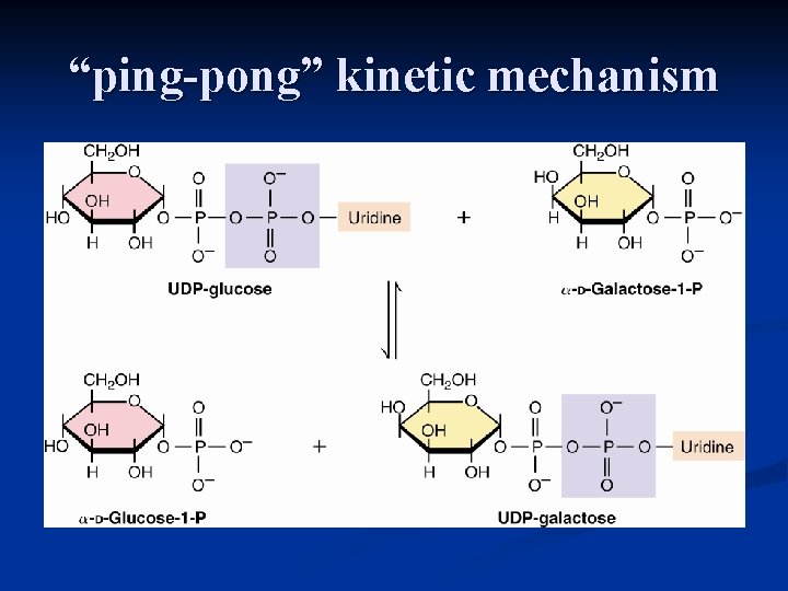 “ping-pong” kinetic mechanism 