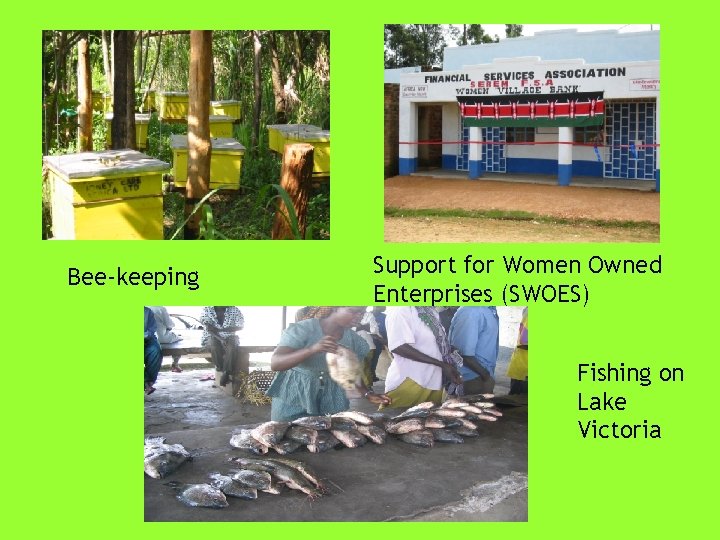 Bee-keeping Support for Women Owned Enterprises (SWOES) Fishing on Lake Victoria 