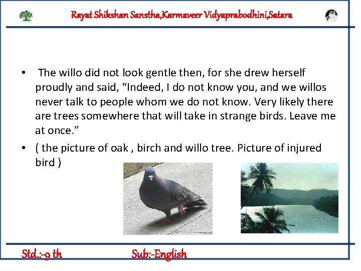 Rayat Shikshan Sanstha, Karmaveer Vidyaprabodhini, Satara • The willo did not look gentle then,