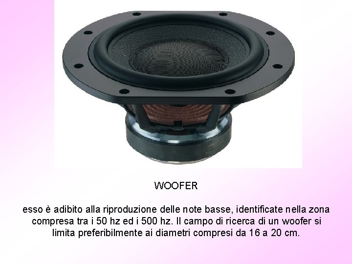 WOOFER esso è adibito alla riproduzione delle note basse, identificate nella zona compresa tra