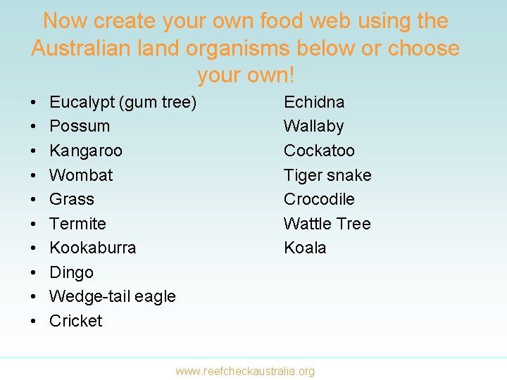 Now create your own food web using the Australian land organisms below or choose