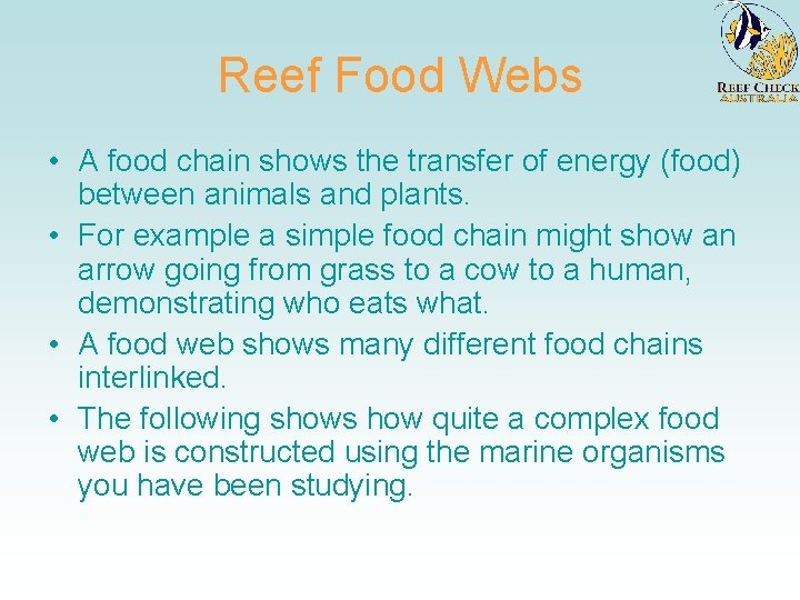 Reef Food Webs • A food chain shows the transfer of energy (food) between