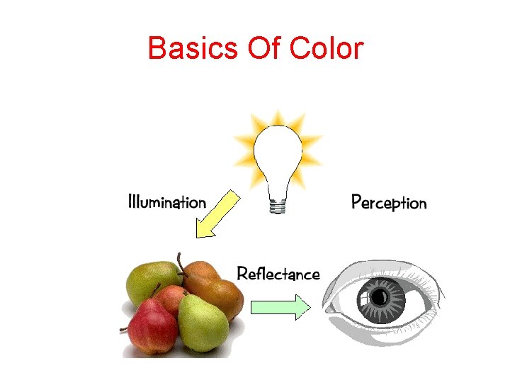 Basics Of Color • elements of color: 